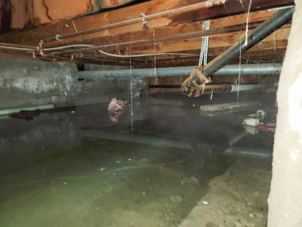 Best Residential water damage restoration  in El Cerrito, CA