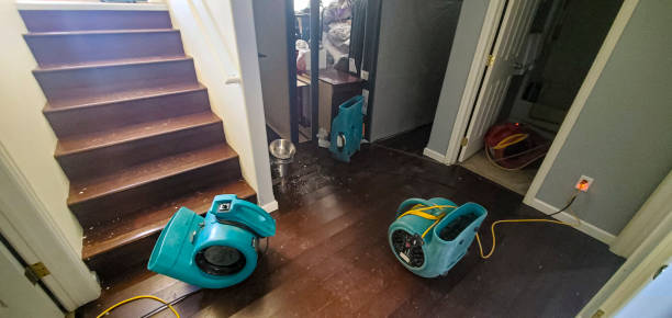 Best Flood damage cleanup  in El Cerrito, CA