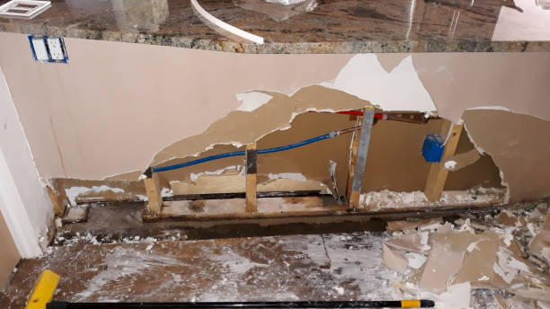 Best Mold removal after water damage  in El Cerrito, CA