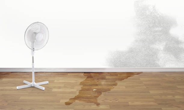 Best Basement water damage restoration  in El Cerrito, CA