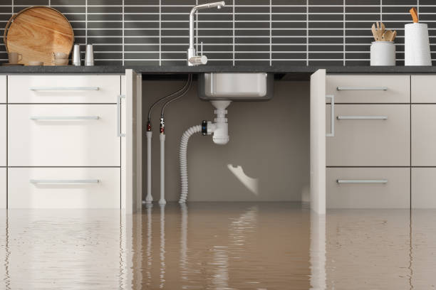 Best Water damage restoration near me  in El Cerrito, CA