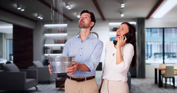 Best 24-hour water damage restoration  in El Cerrito, CA