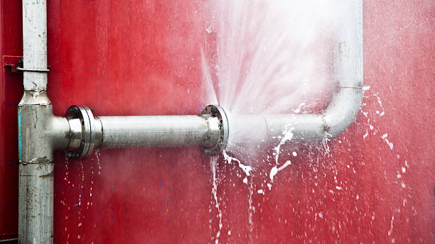 Best Water damage restoration near me  in El Cerrito, CA